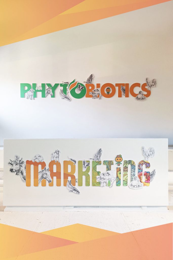 Elena-Filatov_Marketing