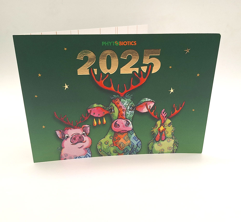 Weihnachtskarte_2025